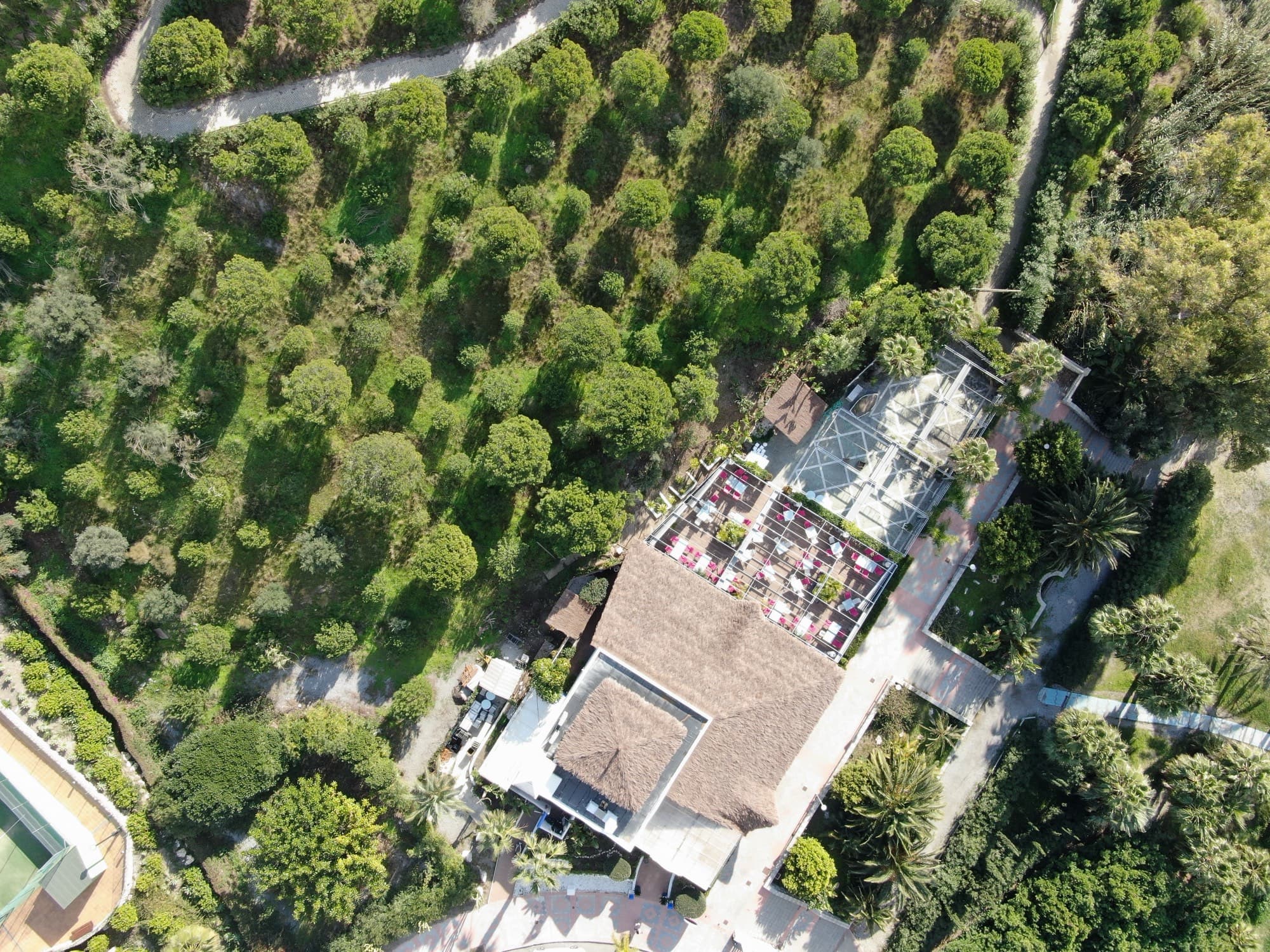 Vista cenital del Restaurante Calabajío entre la vegetación